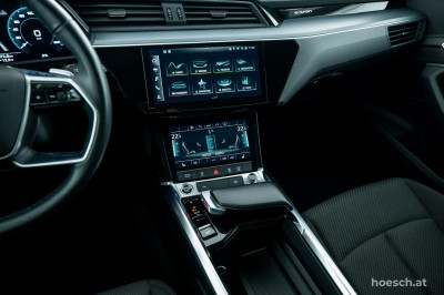 Audi e-tron Gebrauchtwagen