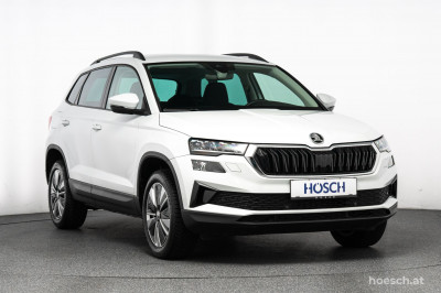 Skoda Karoq Gebrauchtwagen