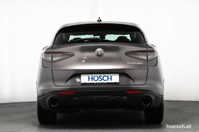 Alfa Romeo Stelvio Gebrauchtwagen