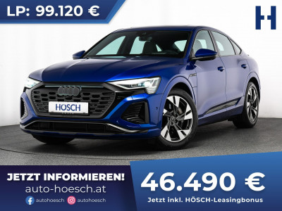 Audi Q8 e-tron Gebrauchtwagen