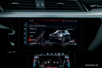 Audi Q8 e-tron Gebrauchtwagen