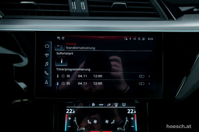 Audi Q8 e-tron Gebrauchtwagen