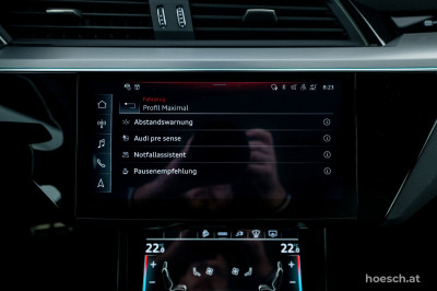 Audi Q8 e-tron Gebrauchtwagen