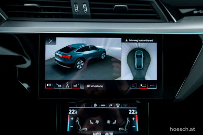 Audi Q8 e-tron Gebrauchtwagen