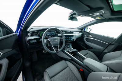 Audi Q8 e-tron Gebrauchtwagen