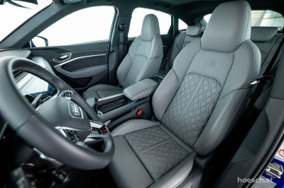 Audi Q8 e-tron Gebrauchtwagen