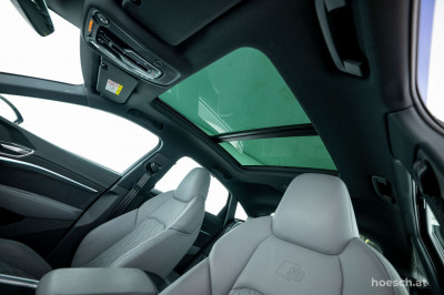 Audi Q8 e-tron Gebrauchtwagen