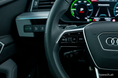 Audi Q8 e-tron Gebrauchtwagen