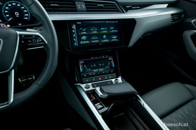 Audi Q8 e-tron Gebrauchtwagen