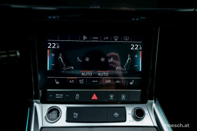 Audi Q8 e-tron Gebrauchtwagen