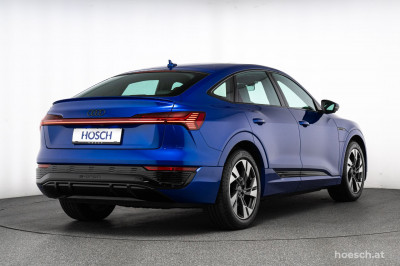 Audi Q8 e-tron Gebrauchtwagen