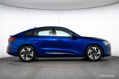 Audi Q8 e-tron Gebrauchtwagen