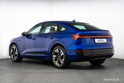 Audi Q8 e-tron Gebrauchtwagen