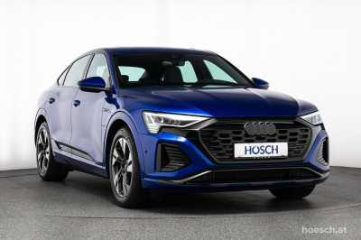 Audi Q8 e-tron Gebrauchtwagen