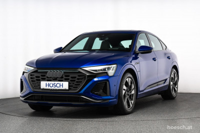 Audi Q8 e-tron Gebrauchtwagen