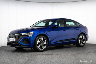 Audi Q8 e-tron Gebrauchtwagen