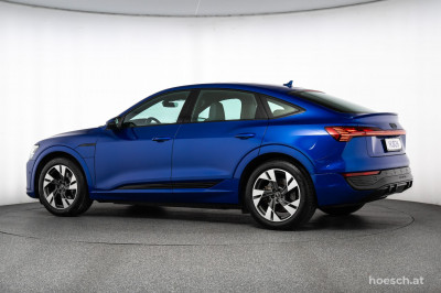 Audi Q8 e-tron Gebrauchtwagen