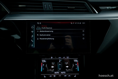 Audi e-tron Gebrauchtwagen