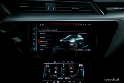 Audi e-tron Gebrauchtwagen