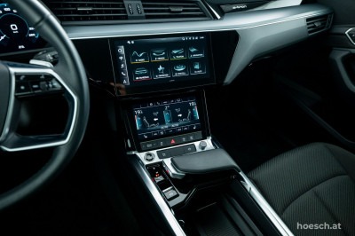 Audi e-tron Gebrauchtwagen