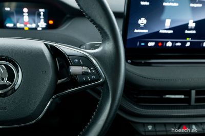Skoda Enyaq Gebrauchtwagen