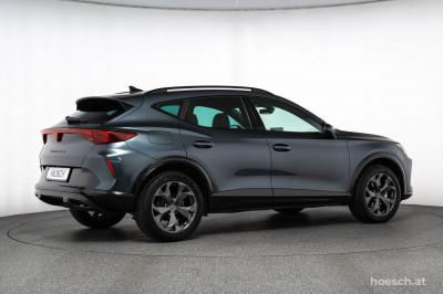 Cupra Formentor Gebrauchtwagen Cupra Formentor Gebrauchtwagen