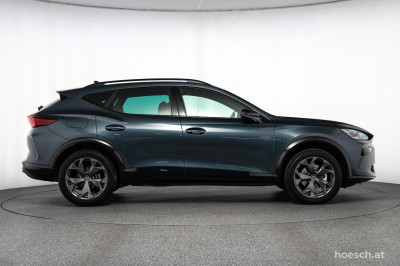 Cupra Formentor Gebrauchtwagen Cupra Formentor Gebrauchtwagen