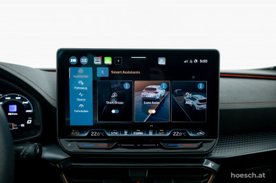 Cupra Formentor Gebrauchtwagen Cupra Formentor Gebrauchtwagen