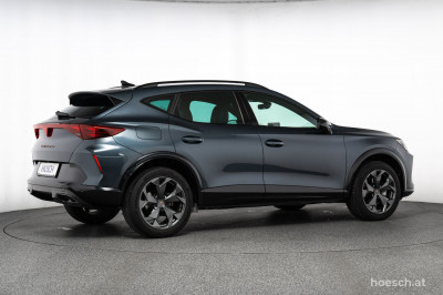 Cupra Formentor Gebrauchtwagen Cupra Formentor Gebrauchtwagen