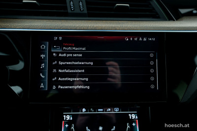 Audi e-tron Gebrauchtwagen