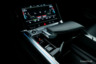 Audi e-tron Gebrauchtwagen