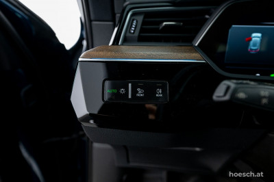Audi e-tron Gebrauchtwagen