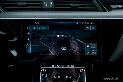 Audi Q8 e-tron Gebrauchtwagen