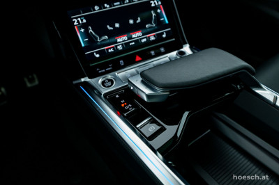 Audi Q8 e-tron Gebrauchtwagen