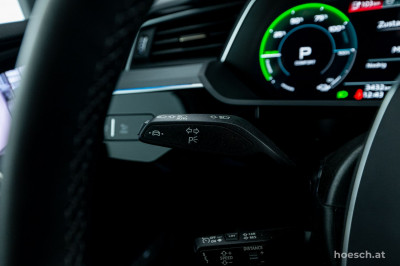 Audi Q8 e-tron Gebrauchtwagen