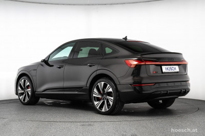 Audi Q8 e-tron Gebrauchtwagen