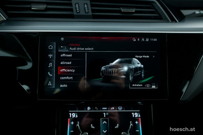 Audi e-tron Gebrauchtwagen