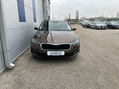 Skoda Octavia Gebrauchtwagen
