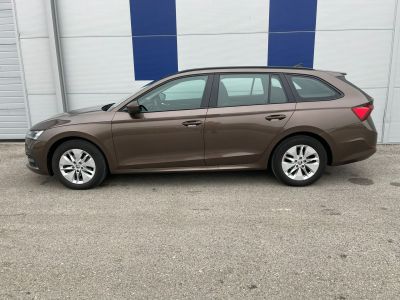 Skoda Octavia Gebrauchtwagen