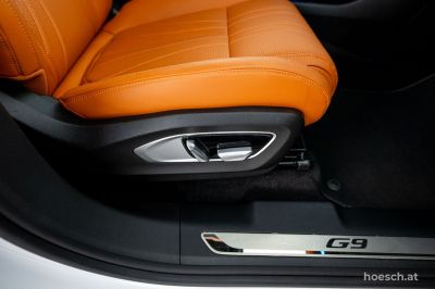 Xpeng G9 Gebrauchtwagen Xpeng G9 Gebrauchtwagen