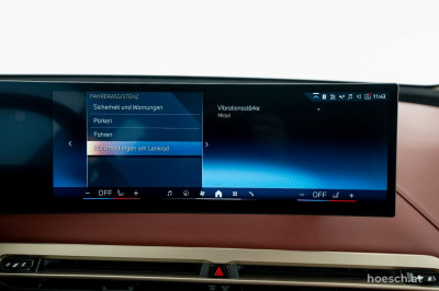 BMW iX Gebrauchtwagen BMW iX Gebrauchtwagen