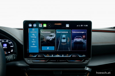 Cupra Formentor Gebrauchtwagen Cupra Formentor Gebrauchtwagen