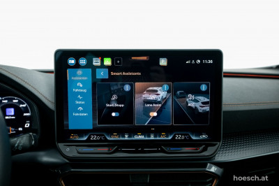 Cupra Formentor Gebrauchtwagen Cupra Formentor Gebrauchtwagen