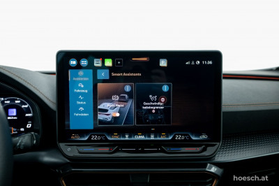 Cupra Formentor Gebrauchtwagen Cupra Formentor Gebrauchtwagen