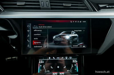 Audi Q8 e-tron Gebrauchtwagen Audi Q8 e-tron Gebrauchtwagen