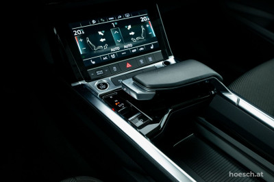 Audi e-tron Gebrauchtwagen
