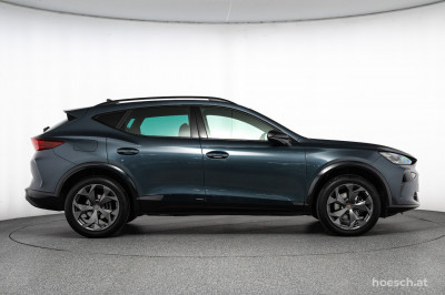 Cupra Formentor Gebrauchtwagen Cupra Formentor Gebrauchtwagen