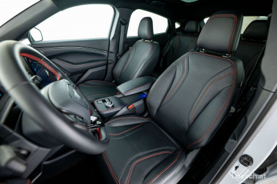 Ford Mustang Mach-E Gebrauchtwagen