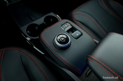 Ford Mustang Mach-E Gebrauchtwagen