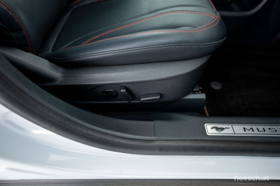 Ford Mustang Mach-E Gebrauchtwagen